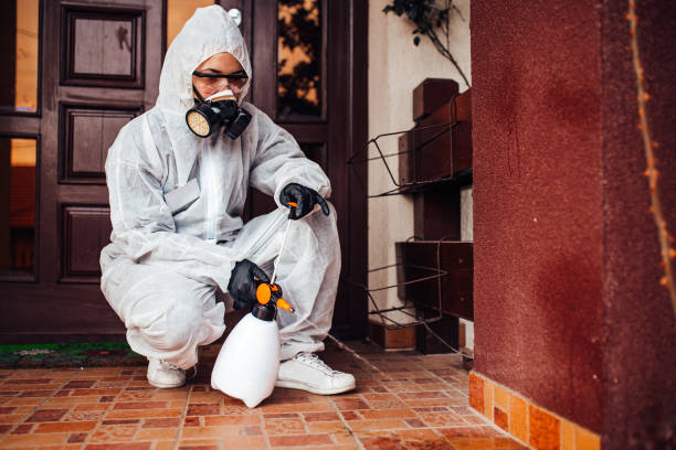 Reliable Mosquito Control contractor in Lake Cherokee, TX by Show Me Pest Control